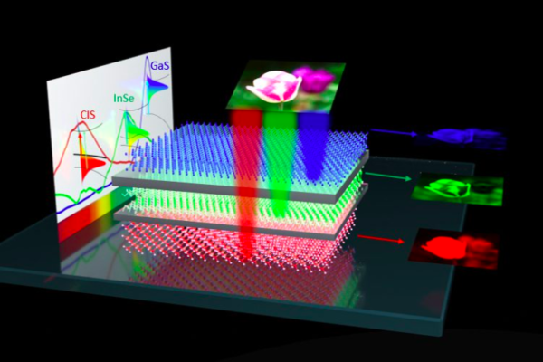 Van der Waals forces make sensor with improved color discrimination