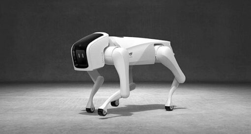 Robotic pet dogs market forecast