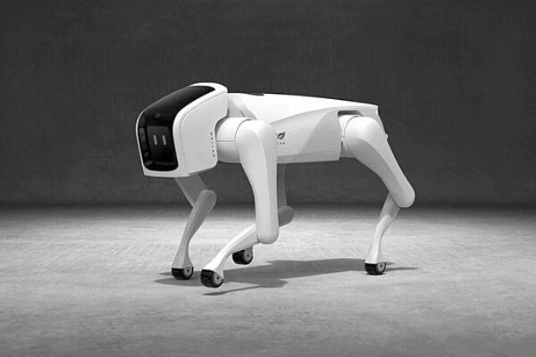 Robotic pet dogs market forecast