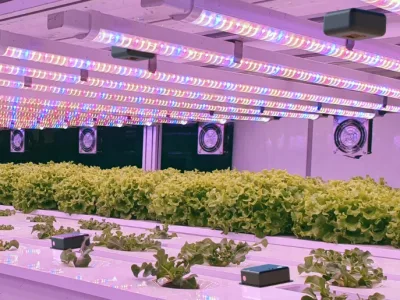 Indoor farming AI startup boost from French chemicals firm