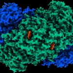 Enzyme generates electricity out of thin air