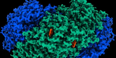 Enzyme generates electricity out of thin air