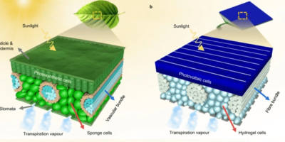Artificial leaf cooling boost lifetime, efficiency of PV panels