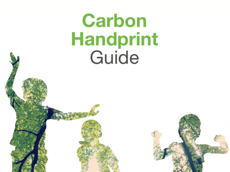 Carbon Handprint Guide