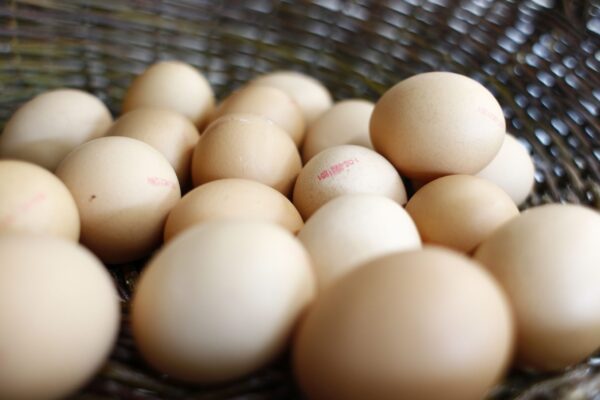 Chicken eggshells, a cost-effective material for energy storage