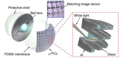 Bio-inspired lens gives image sensors night vision capability