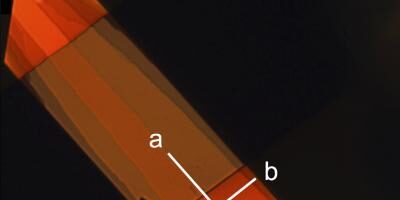 Speeding the development of organic semiconductors for flexible displays