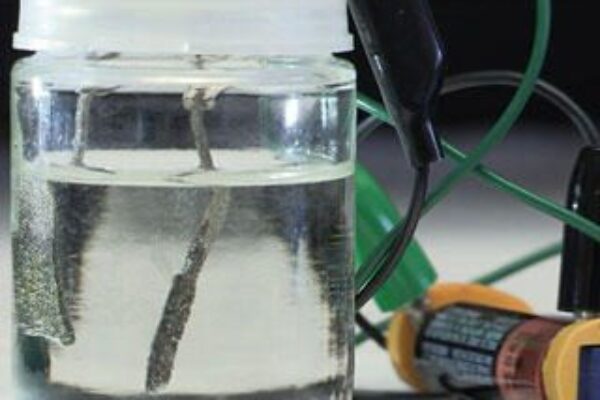 Battery-powered water splitter delivers low-cost emissions-free fuel cells
