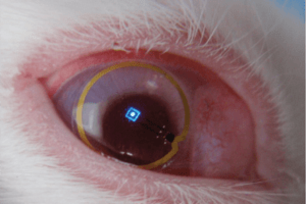 Embedded LED enables bionic contact lenses