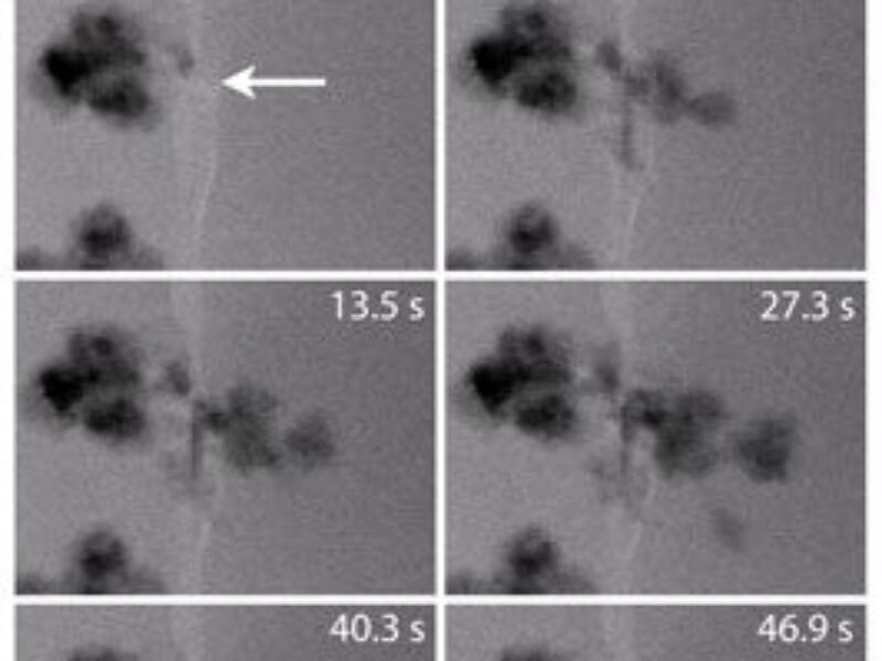 Nanoscale lithium dendrite formation captured in real-time