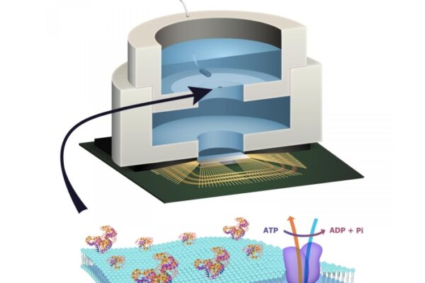 Biologically powered chip promises a new kind of electronics