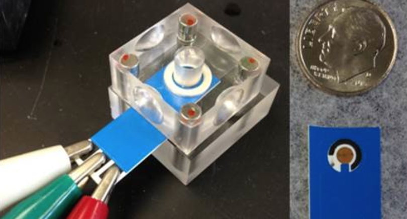 Metal-detecting biosensors spot water contaminants