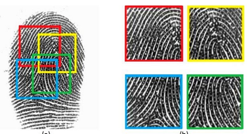 Fingerprint security on smartphones more vulnerable than thought