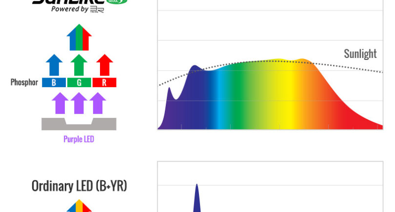 Novel phosphor and purple LED combination yields sun-like white light
