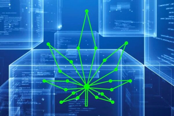 IBM: Blockchain can track pot from ‘seed to sale’