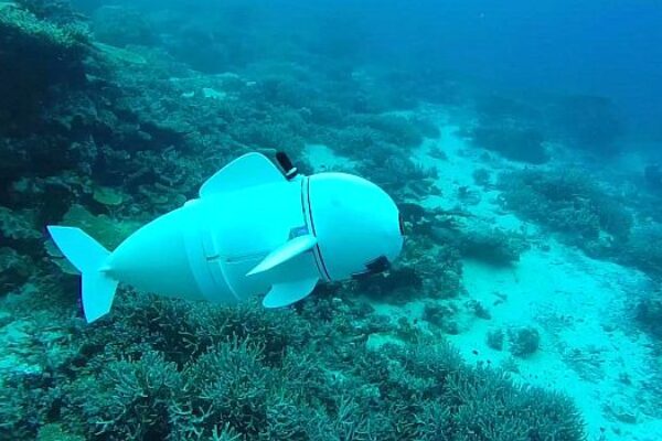 Soft robotic fish offers close-up view of underwater life