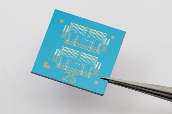 AI memory and logic in a single 2D transistor