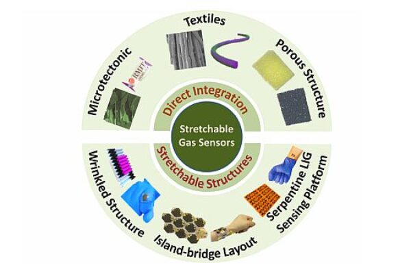 Stretchable gas sensors promise biomarker, toxic gas detection