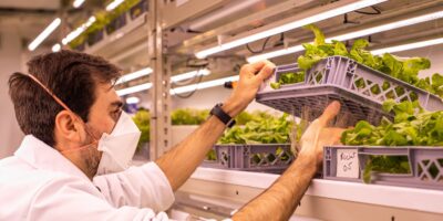 LettUs Grow teams for greenhouse technology trial