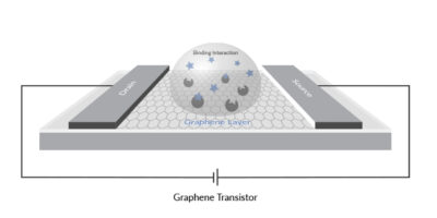 Biology-gated transistors available for handheld COVID-19 test designs