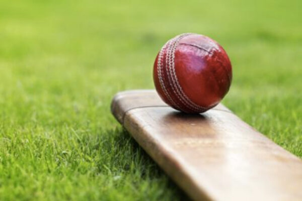 Slow India may lose Cricket wafer fab