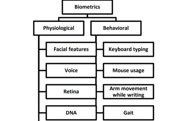 AI scrutinizes gesture biometrics as user authentication
