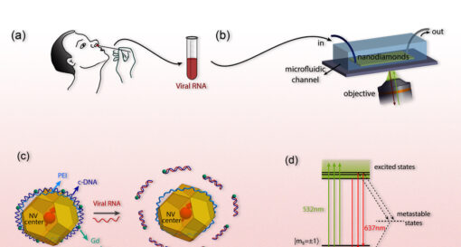 Quantum sensor could detect Covid-19 viruses