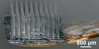 Optogenetic LED array allows brain neuron manipulation