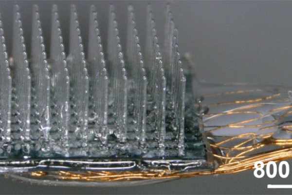 LED array illuminates glass microneedles implant for optogenetics