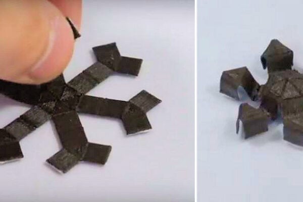 Des robots magnétiques souples imprimés en 3D peuvent ramper et sauter