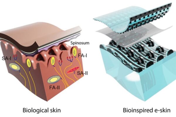 Bioinspired e-skin detects direction of applied pressure