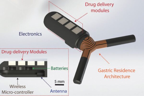 Electronic pill unfolds in the stomach for longer stays