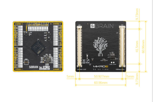 SiBrain module takes on microcontrollers