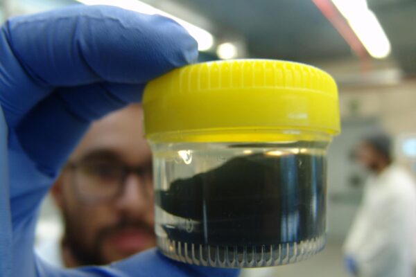 Flexible thermoelectric sheets grown by bacteria